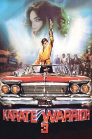 Yify Karate Warrior 3 1991