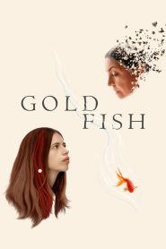 Yify Goldfish 2022