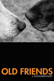 Yify Old Friends: A Dogumentary 2022