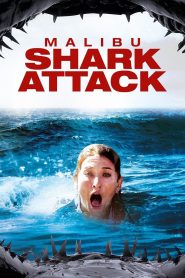 Yify Malibu Shark Attack 2009
