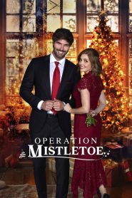 Yify Operation Mistletoe 2024