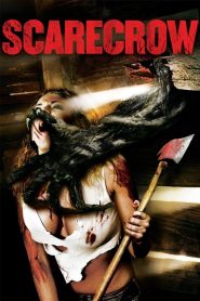 Yify Scarecrow 2013