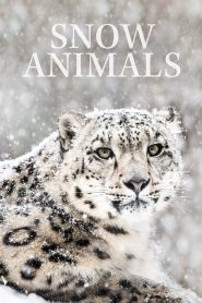 Yify Snow Animals 2019
