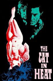 Yify The Cat in Heat 1972