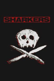 Yify Sharkers 2024