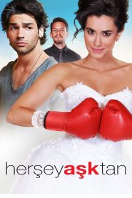 Yify Everything Is Love 2016