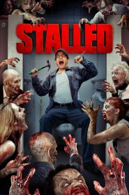 Yify Stalled 2013