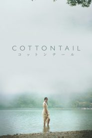 Yify Cottontail 2024