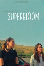 Yify Superbloom 2025