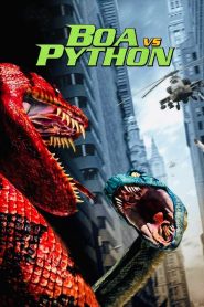 Yify Boa vs. Python 2004
