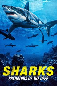 Yify Sharks: Predators of the Deep 2024