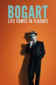 Yify Bogart: Life Comes in Flashes 2024