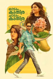 Yify Odum Kuthira Chadum Kuthira 2025