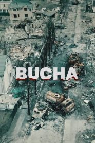 Yify Bucha 2024