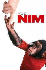 Yify Project Nim 2011