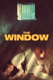 Yify The Window 2024