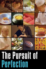 Yify The Pursuit of Perfection 2024