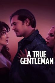 Yify A True Gentleman 2024