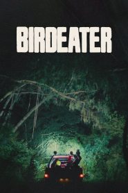 Yify Birdeater 2024