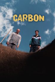 Yify Carbon 2022
