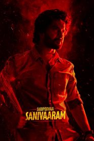 Yify Saripodhaa Sanivaaram 2024