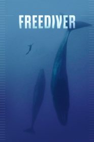 Yify Freediver 2024