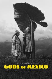 Yify Gods of Mexico 2022