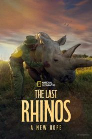 Yify The Last Rhinos: A New Hope 2025