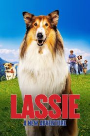 Yify Lassie: A New Adventure 2023