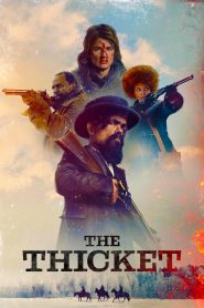 Yify The Thicket 2024
