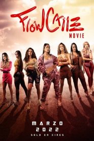 Yify Flow Calle 2022
