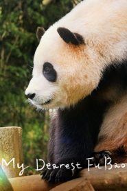 Yify My Dearest Fu Bao 2024