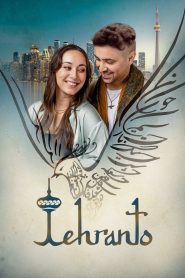 Yify Tehranto 2022