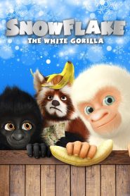 Yify Snowflake, the White Gorilla 2011