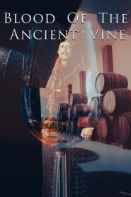 Yify Blood of the Ancient Vine 2024