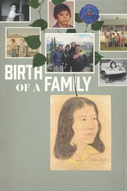 Yify Birth of a Family 2017