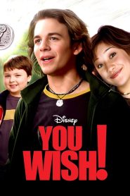 Yify You Wish! 2003