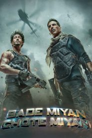 Yify Bade Miyan Chote Miyan 2024