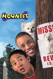 Yify Hounded 2001