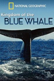 Yify Kingdom of the Blue Whale 2009