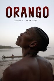 Yify Orango 2024