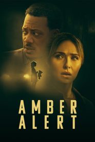 Yify Amber Alert 2024