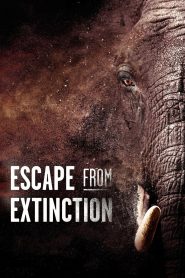 Yify Escape from Extinction 2021