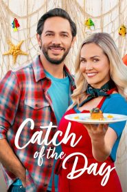 Yify Catch of the Day 2025
