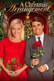 Yify A Christmas Arrangement 2018