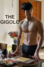 Yify The Gigolo 2015