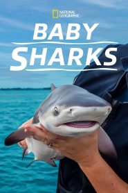 Yify Baby Sharks 2022