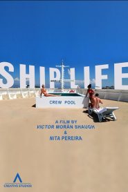 Yify Ship Life 2024