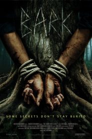 Yify Bark 2024
