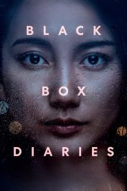 Yify Black Box Diaries 2024